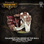 paladin of the order of the wall protectorate solo